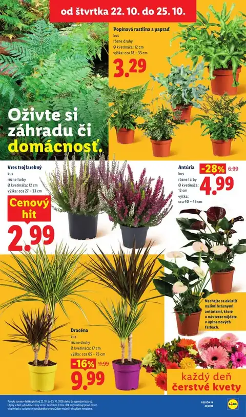 Lidl leták – strana 102