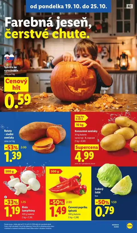 Lidl leták – strana 13