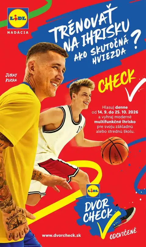 Lidl leták – strana 45