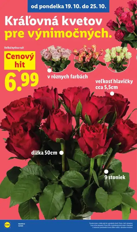 Lidl leták – strana 50