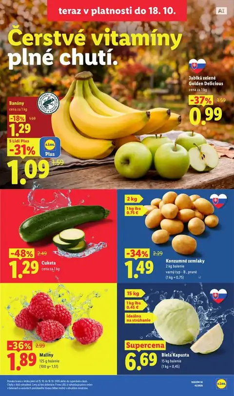 Lidl leták – strana 13
