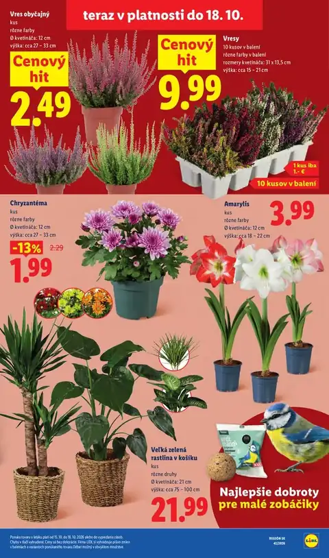Lidl leták – strana 50