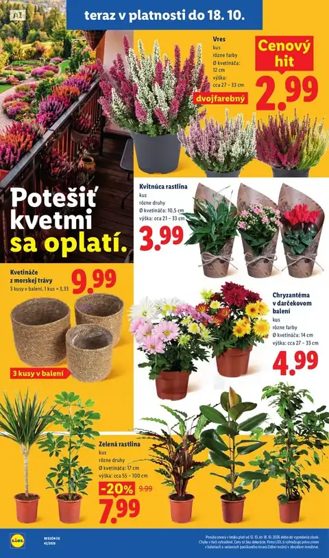 Lidl leták – strana 53