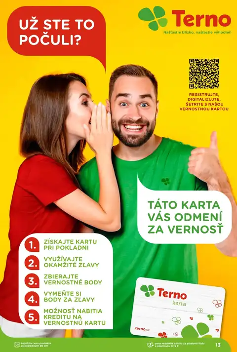 Terno leták – strana 13