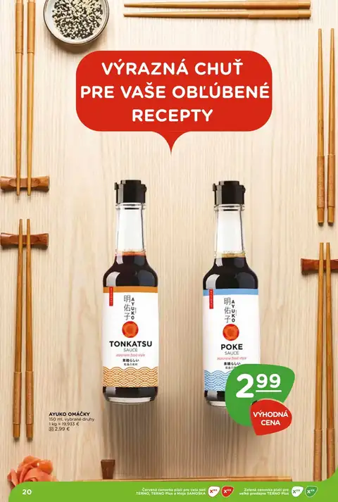Terno leták – strana 20